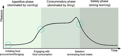 Where Do We Stand in the Domestic Dog (Canis familiaris) Positive-Emotion Assessment: A State-of-the-Art Review and Future Directions